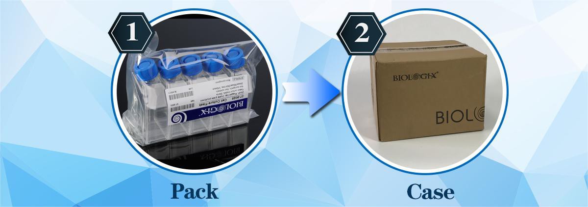 different sizes of Cell Culture Flask With Filter/Plug Cap different sizes of Cell Culture Flask With Filter/Plug Cap