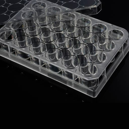 Cell Culture Plates Laboratory Consumables