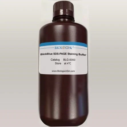 Protein Stain Buffer-Biologix